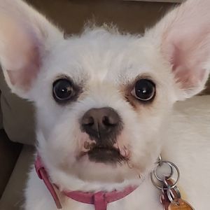 Meet your Posher, Lynn